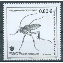 TAAF - Nr 914 2016r - Insekty