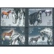 Indie - Nr 2425 - 28 2009r - Konie