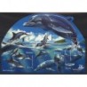 Samoa - Bl 73 2005r - Ssaki morskie