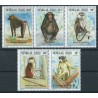 Senegal - Nr 1447 - 51 1996r - Ssaki