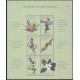 Mikronezja - Nr 1018 - 23 2000r - Kwiaty