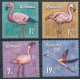 Rumunia - Nr 7907 - 10 2021r - Ptaki