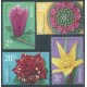 Rumunia - Nr 7680 - 83 2020r - Kwiaty
