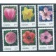 Rumunia - Nr 7645 - 50 2020r - Kwiaty