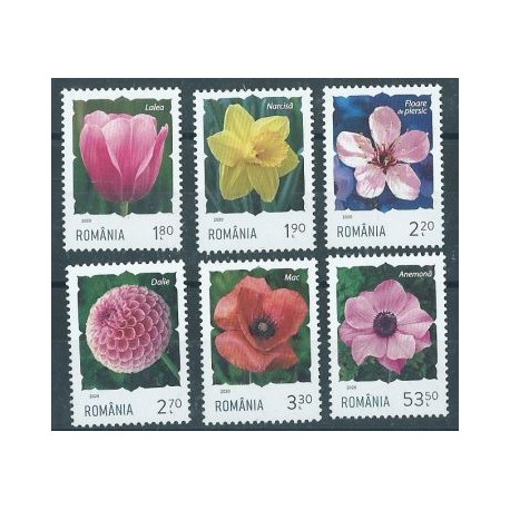 Rumunia - Nr 7645 - 50 2020r - Kwiaty