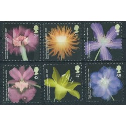 Wielka Brytania - Nr 2217 - 22 2004r - Kwiaty