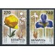 Białoruś - Nr 490 - 91 2003r - Kwiaty