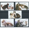 Niemcy - Nr 2402 - 06 2004r - Koty