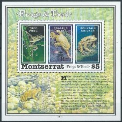 Montserrat - Bl 61 1991r - Płazy