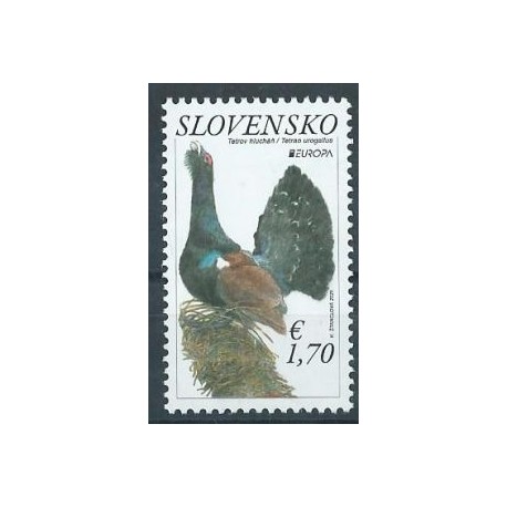 Słowacja - Nr 938 2021r - Ptaki