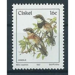 Ciskei - Nr 097 1986r - Ptaki