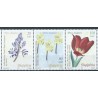 Albania - Nr 3431 - 33 2013r - Kwiaty