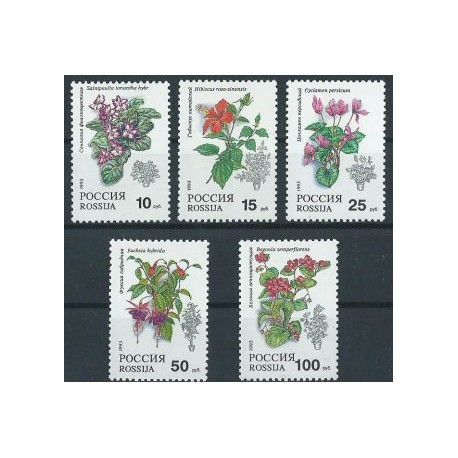 Rosja - Nr 296 - 00 1993r - Kwiaty