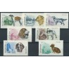 Albania - Nr 1104 - 10 1966r - Psy