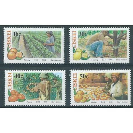 Ciskei - Nr 141 - 44 1988r - Owoce