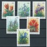 Azerbejdżan - Nr 091 - 96 1993r - Kwiaty