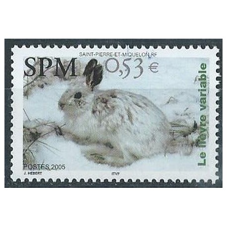 SPM - Nr 945 2005r - Ssak