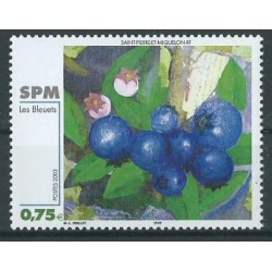 SPM - Nr 881 2003r - Malarstwo - Owoce