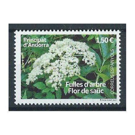 Andora Hiszp. - Nr 513 2021r - Kwiaty