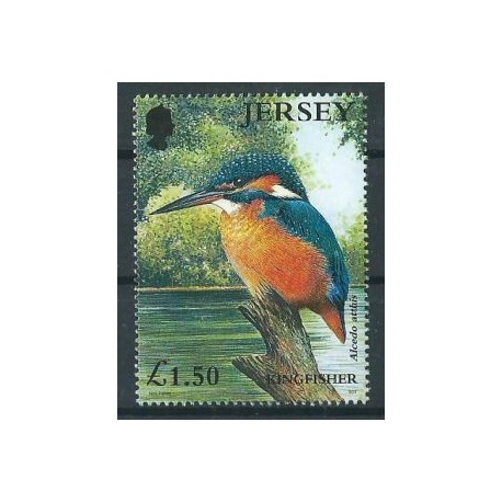 Jersey - Nr 986 2001r - Ptak