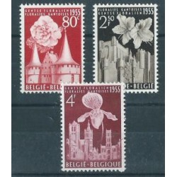 Belgia - Nr 1010 - 12 1955r - Kwiaty