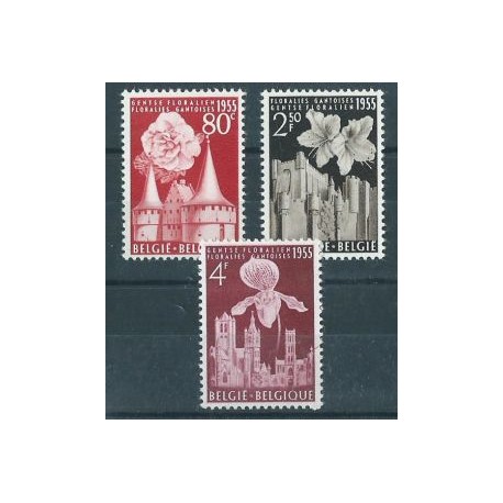 Belgia - Nr 1010 - 12 1955r - Kwiaty