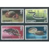 Jersey - Nr 091 - 94 1973r - Muszle - Fauna morska - Ryba