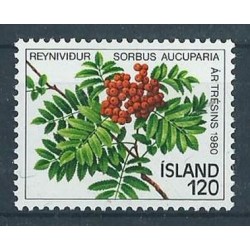 Islandia - Nr 554 1980r - Owoce