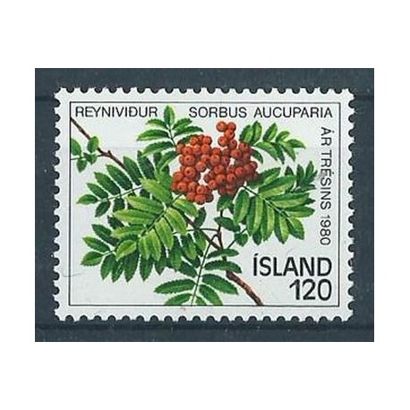 Islandia - Nr 554 1980r - Owoce