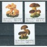Niemcy - Nr 3407 - 09 2018r - Grzyby