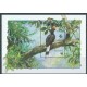 Dominika - Bl 227 1992r - Ptak