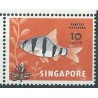 Singapur - Nr 376 1981r - Ryba