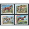 Kongo - Nr 441 - 44 1974r - Psy