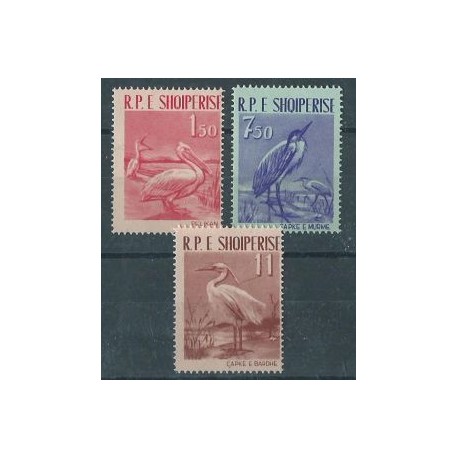 Albania - Nr 630 - 32 1961r - Ptaki