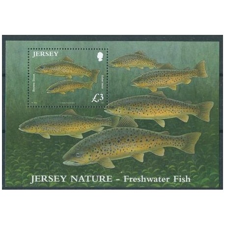 Jersey - Bl 89 2010r - Ryby