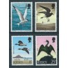 Jersey - Nr 123 - 26 1975r - Ptaki