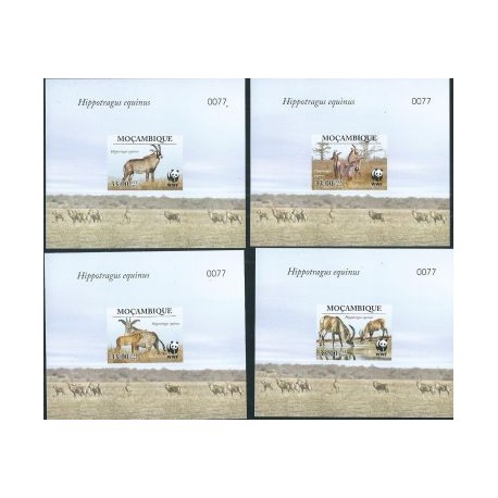 Mozambik Nr 3658 - 61 Bl Lux 2009r - WWF - Ssaki