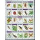 Bhutan - Nr 143 - 67 1997r - Owady