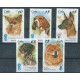 Kuba - Nr 4101 - 05 1998r - Psy