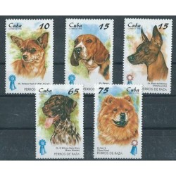 Kuba - Nr 4101 - 05 1998r - Psy