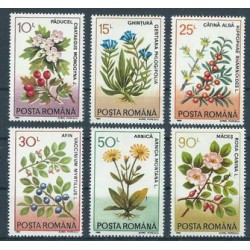 Rumunia - Nr 4866 - 71 1993r  - Kwiaty