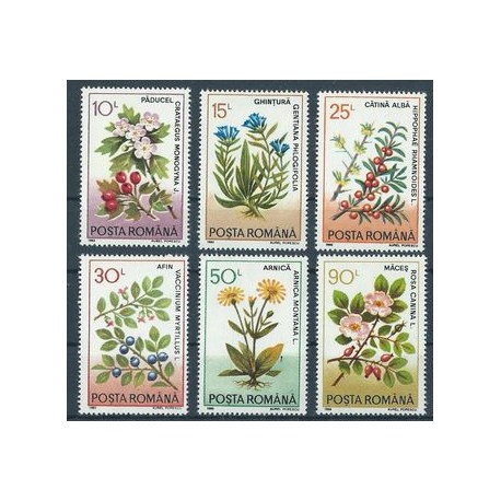 Rumunia - Nr 4866 - 71 1993r  - Kwiaty
