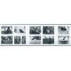 Wielka Brytania  - Nr 1914 - 23 2001r - Psy - Koty