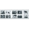 Wielka Brytania  - Nr 1914 - 23 2001r - Psy - Koty