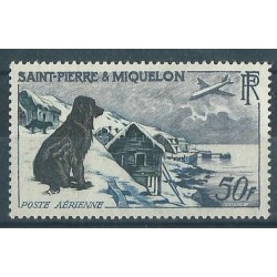 SPM - Nr 386 1957r - Pies