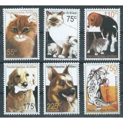 Antyle Holenderskie - Nr 1093 - 98 2001r - Psy - Koty