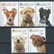 Australia - Nr 3415 - 19 2010r - Psy