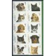 USA - Nr 4609 - 18 2010r - Psy - Koty