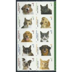 USA - Nr 4609 - 18 2010r - Psy - Koty