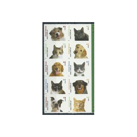 USA - Nr 4609 - 18 2010r - Psy - Koty
